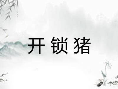 开锁猪