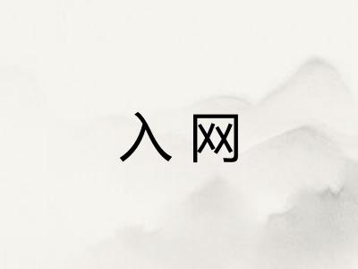 入网