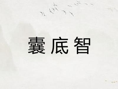 囊底智