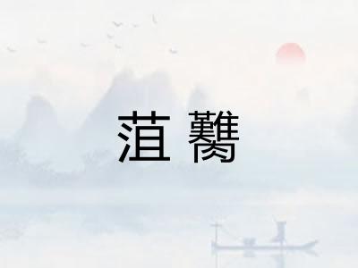 菹臡