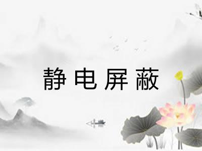静电屏蔽