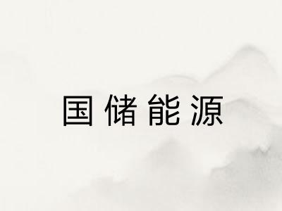 国储能源