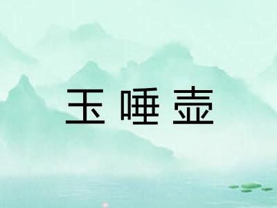 玉唾壶