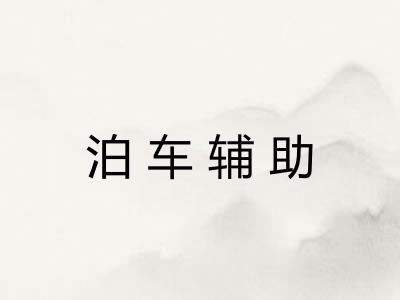 泊车辅助