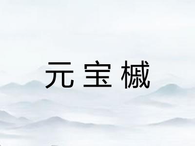 元宝槭