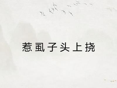 惹虱子头上挠