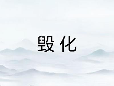 毁化