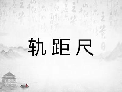 轨距尺