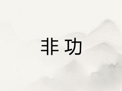 非功