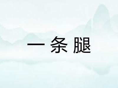 一条腿