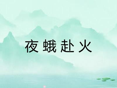 夜蛾赴火
