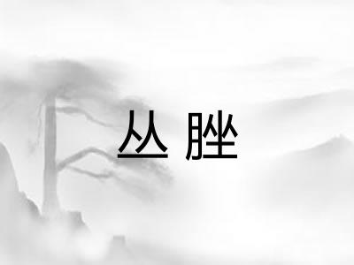 丛脞