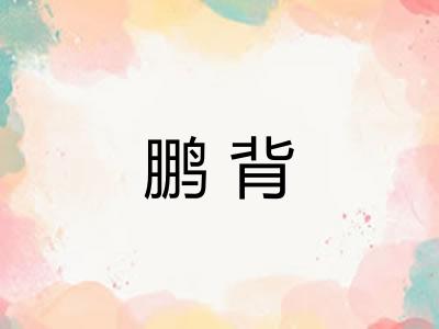 鹏背