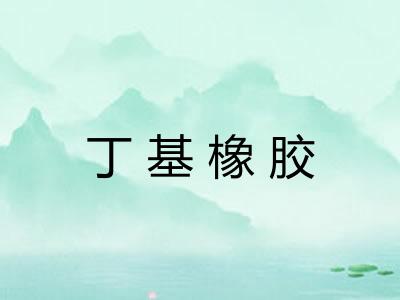 丁基橡胶