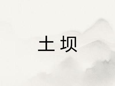土坝