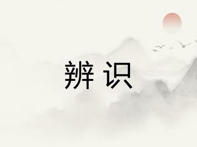 辨识