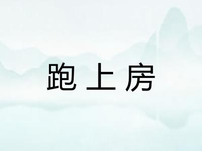 跑上房