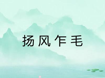 扬风乍毛