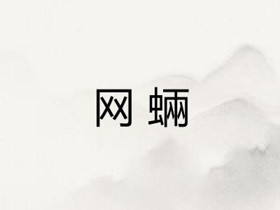 网蜽