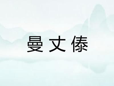 曼丈傣