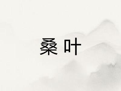 桑叶