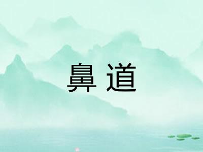 鼻道