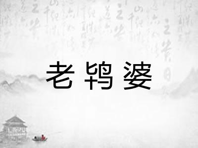 老鸨婆