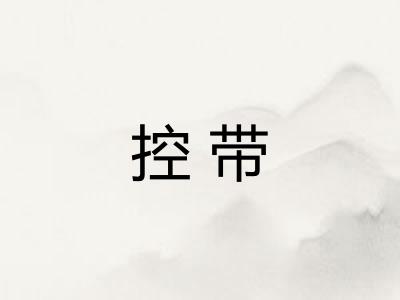 控带