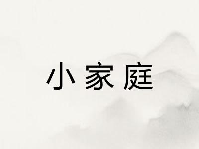 小家庭