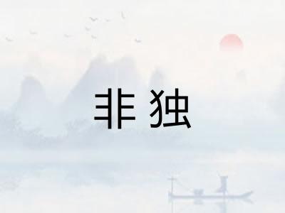 非独