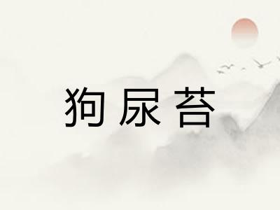 狗尿苔