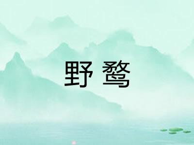 野鹜