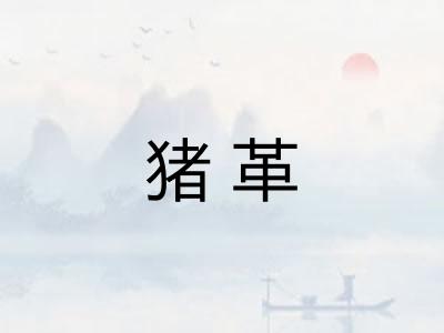 猪革