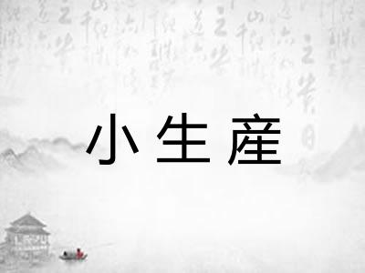 小生産