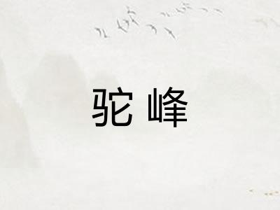 驼峰