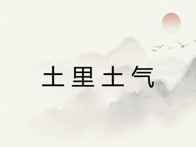 土里土气