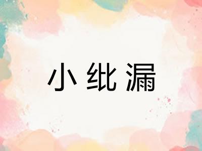 小纰漏