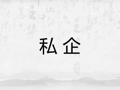 私企