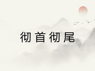 彻首彻尾
