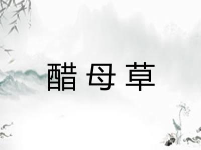 醋母草
