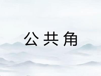 公共角