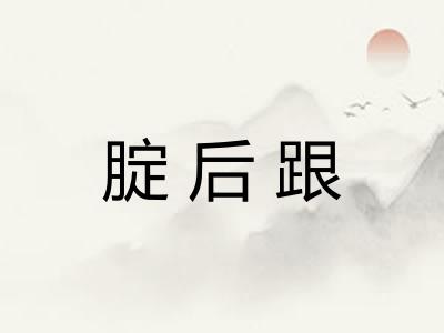 腚后跟