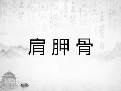 肩胛骨