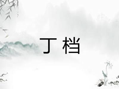 丁档