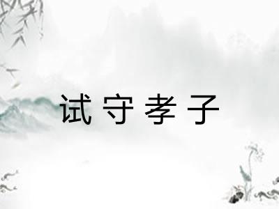 试守孝子