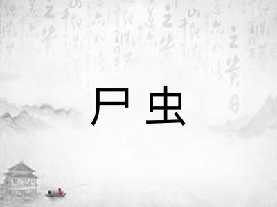 尸虫