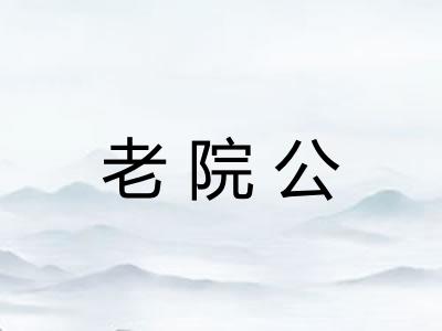 老院公