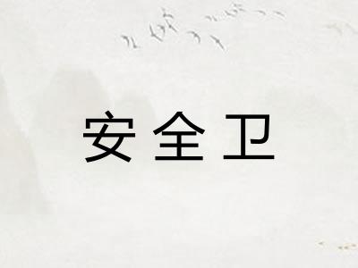 安全卫