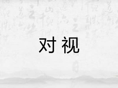 对视