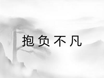 抱负不凡
